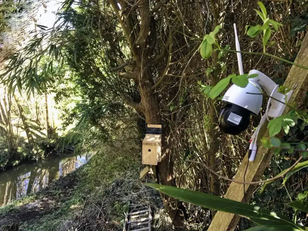 Vidéosurveillance et caméra IP à Savigny-le-Temple Vidéosurveillance et caméra IP à Savigny-le-Temple